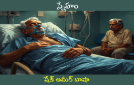 స్నేహం