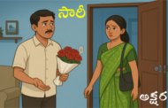 సారీ