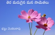 తెర మరుగైన మన సామెతలు