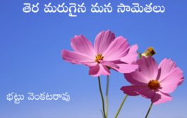 తెర మరుగైన మన సామెతలు